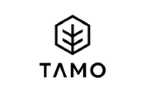 Tamo