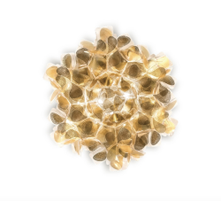 Clizia Mama Non Mama Ceiling/wall