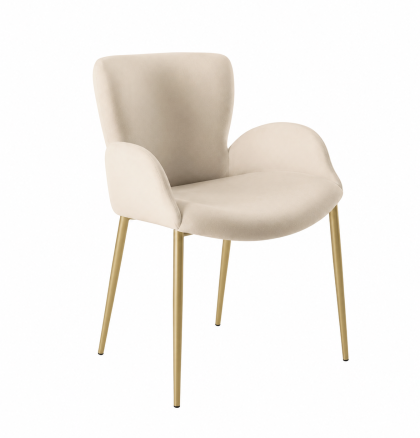 Ariel by Bontempi