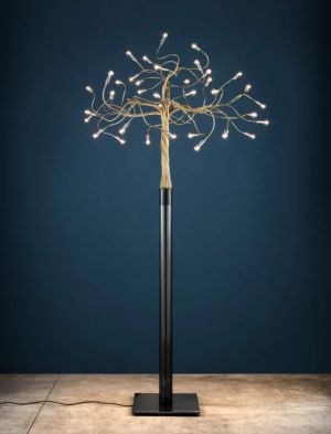 Albero della Luce