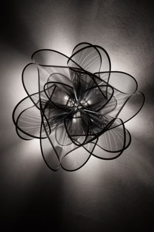 La Belle Etoile Ceiling/wall