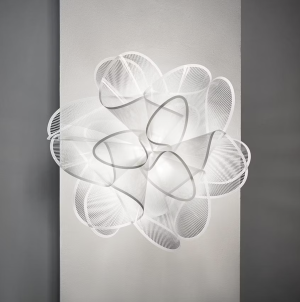 La Belle Etoile Ceiling/wall