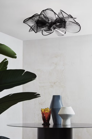 La Belle Etoile Ceiling/wall