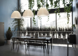 Half Charlotte Suspension