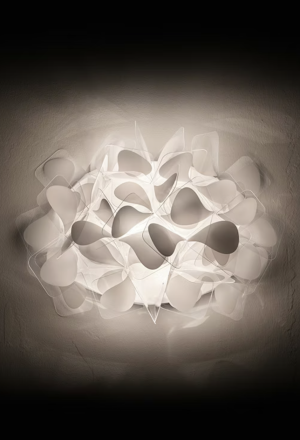 Clizia Mama Non Mama Applique