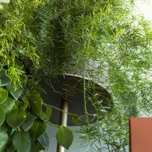 Ikebana storage by Mogg