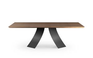 TWIST_wood top